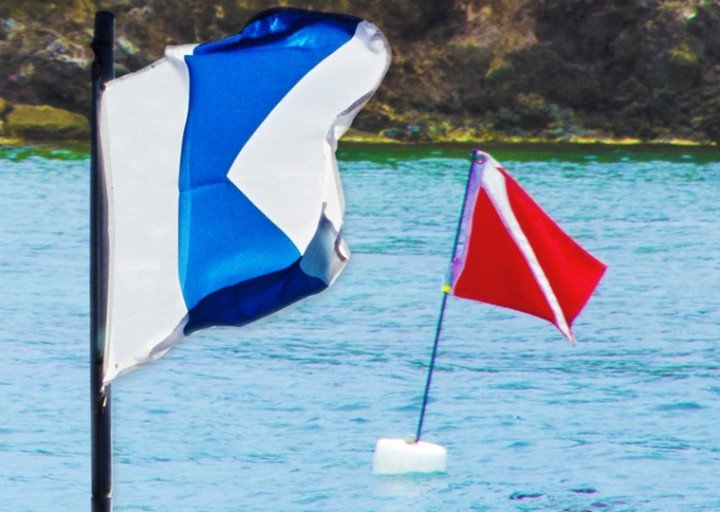 Bandera Alfa y Bandera Bravo Cu ndo usar cada una