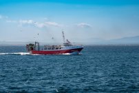 ¿Cómo puedo trabajar en un barco pesquero?